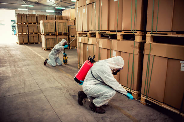 Professional Pest Control in Cologne, NJ