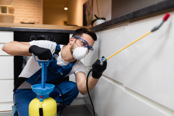 Best Commercial Pest Control Services  in Cologne, NJ