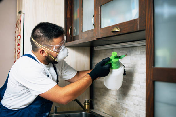 Best Cockroach Control Services  in Cologne, NJ