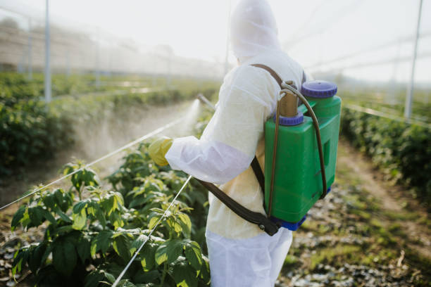  Cologne, NJ Pest Control Pros